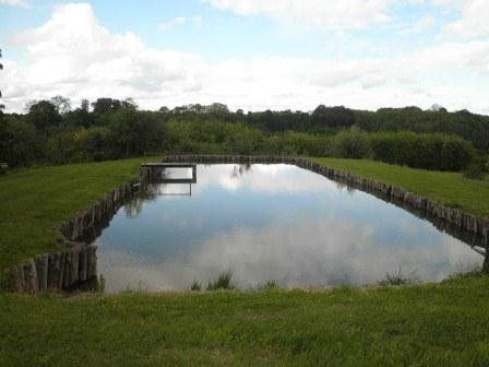 Algues filamenteuses après 3 mois