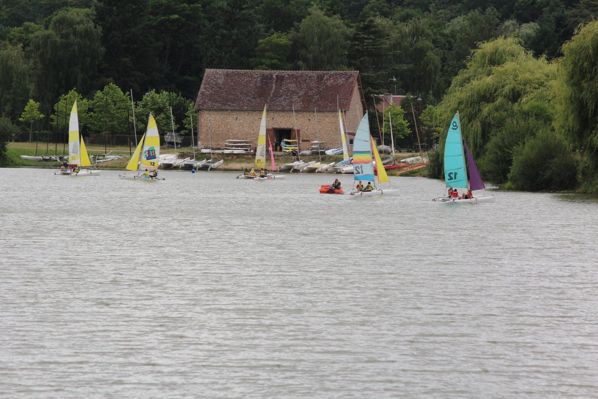 Algues plan d'eau / Zeofond