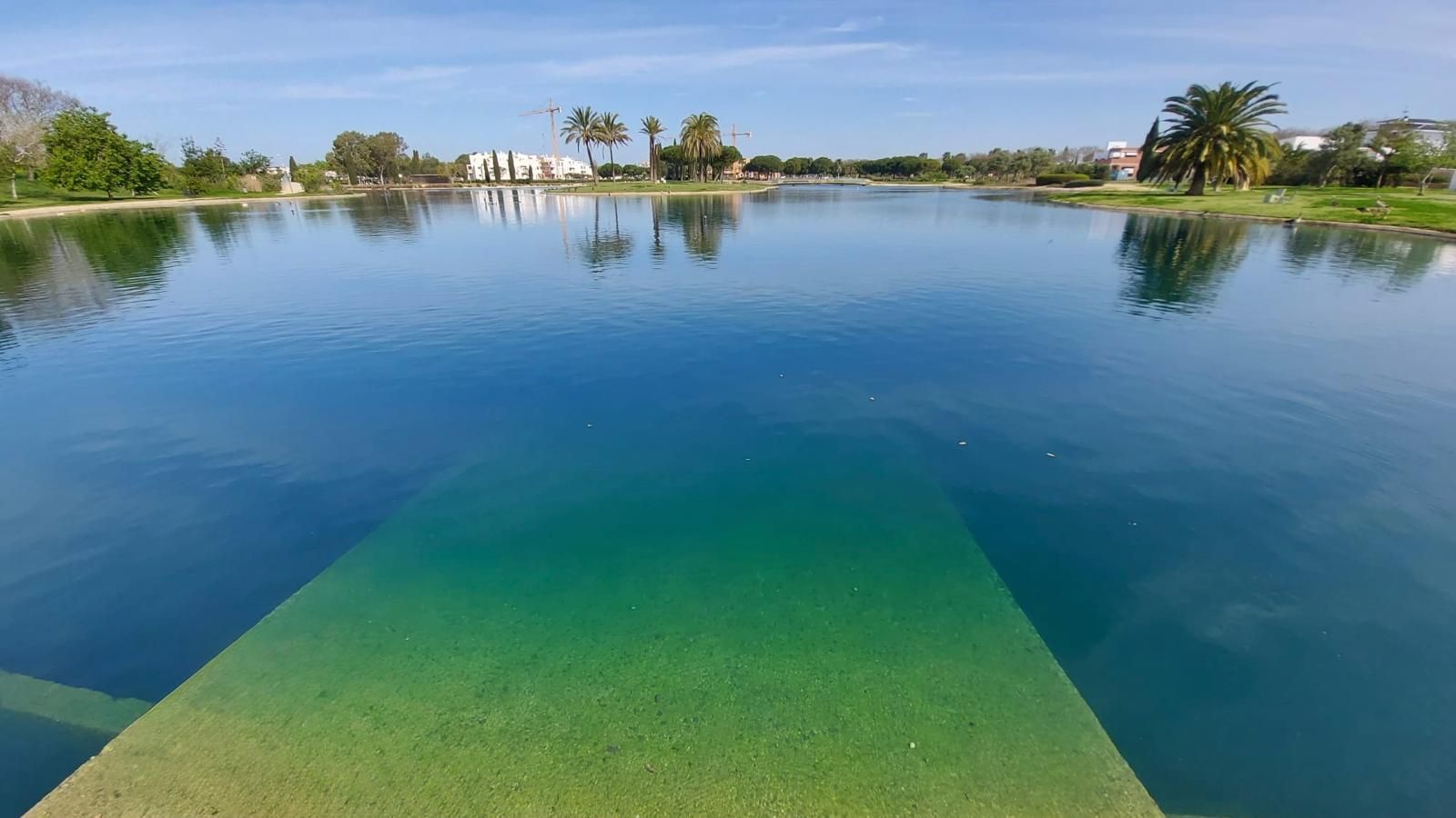 Estanque azul tranquilo con una plataforma de buceo verde en primer plano y palmeras a lo largo de la orilla opuesta.