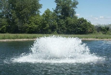 Fuente de agua rociando en un estanque con árboles y cielo azul al fondo.