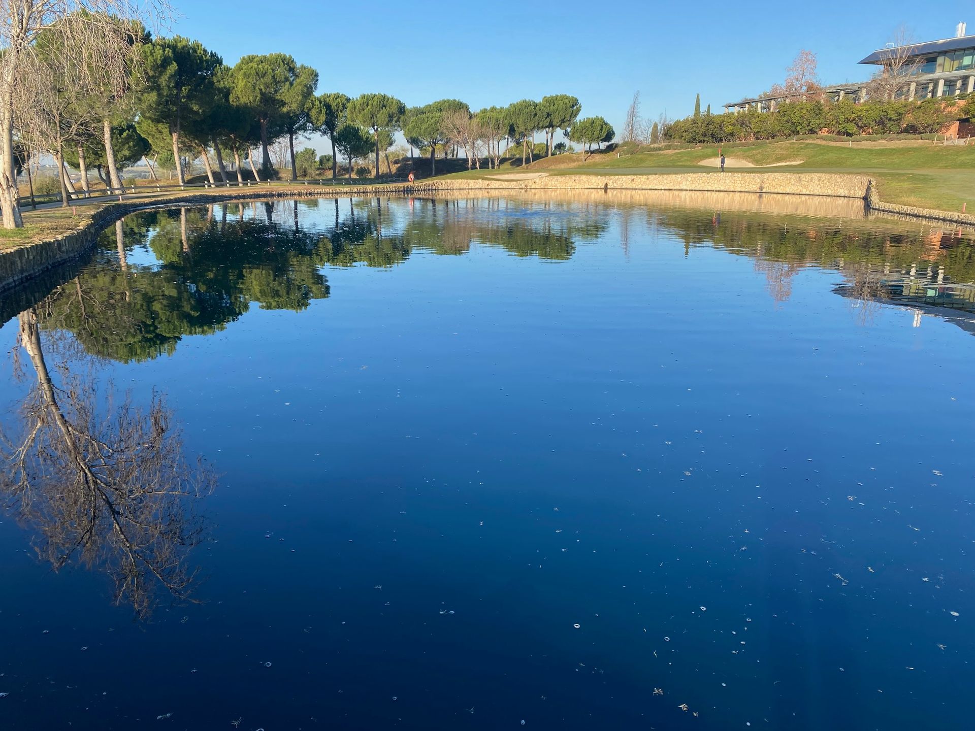 Estanque azul sereno que refleja los árboles y un cielo despejado en un parque