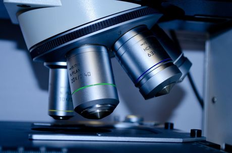 Primer plano de las lentes objetivo de un microscopio sobre una muestra en un laboratorio.