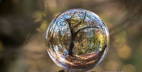 Esfera de cristal que refleja árboles y cielo azul sobre un fondo de bosque difuminado.