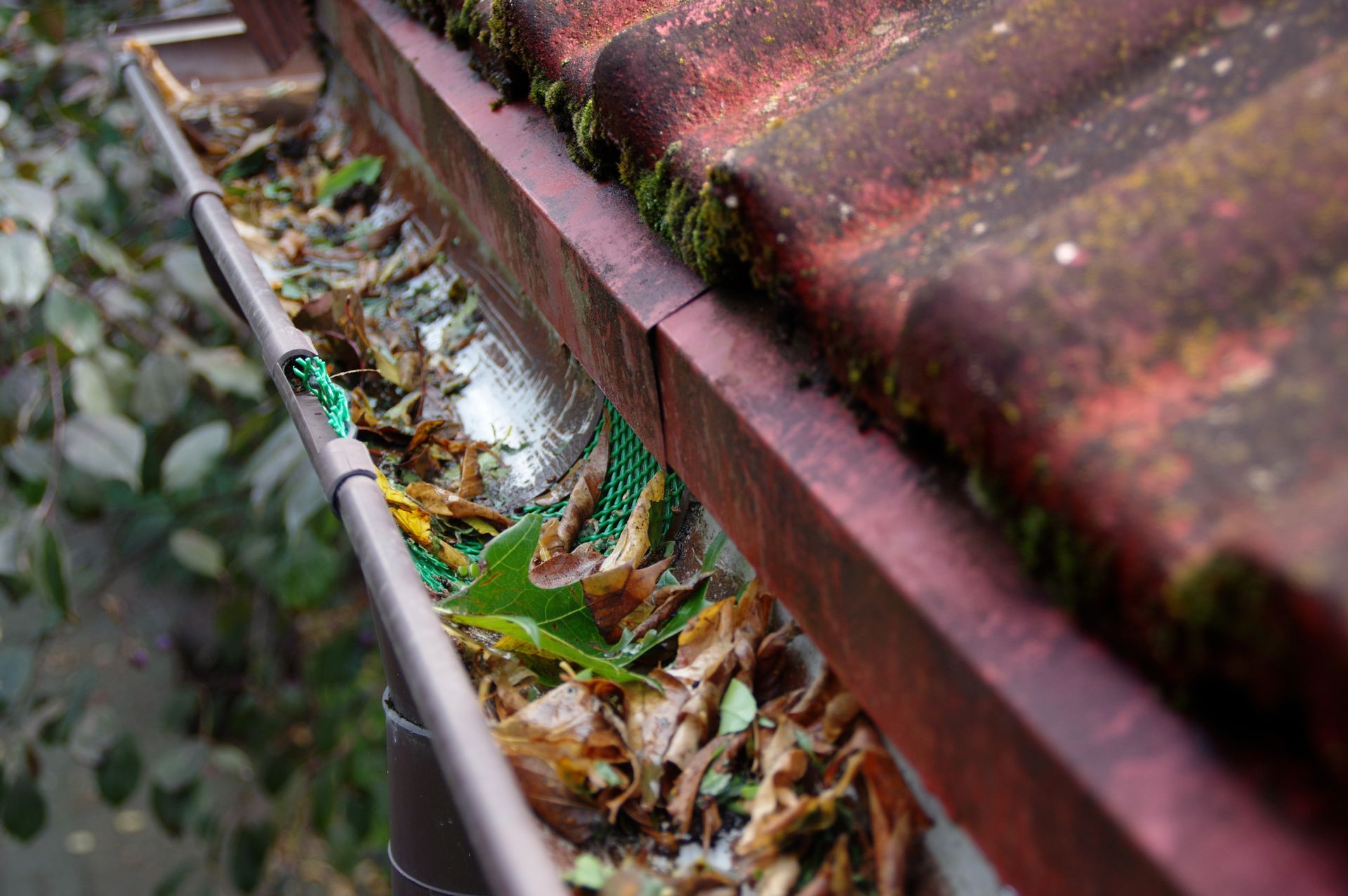 Gouttières avec des feuilles