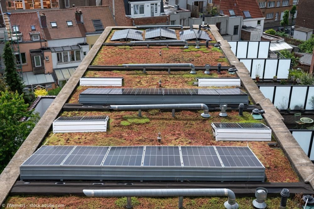 Dach mit Solarpaneelen und begrünten Beeten auf einem Gebäude in einem Wohngebiet