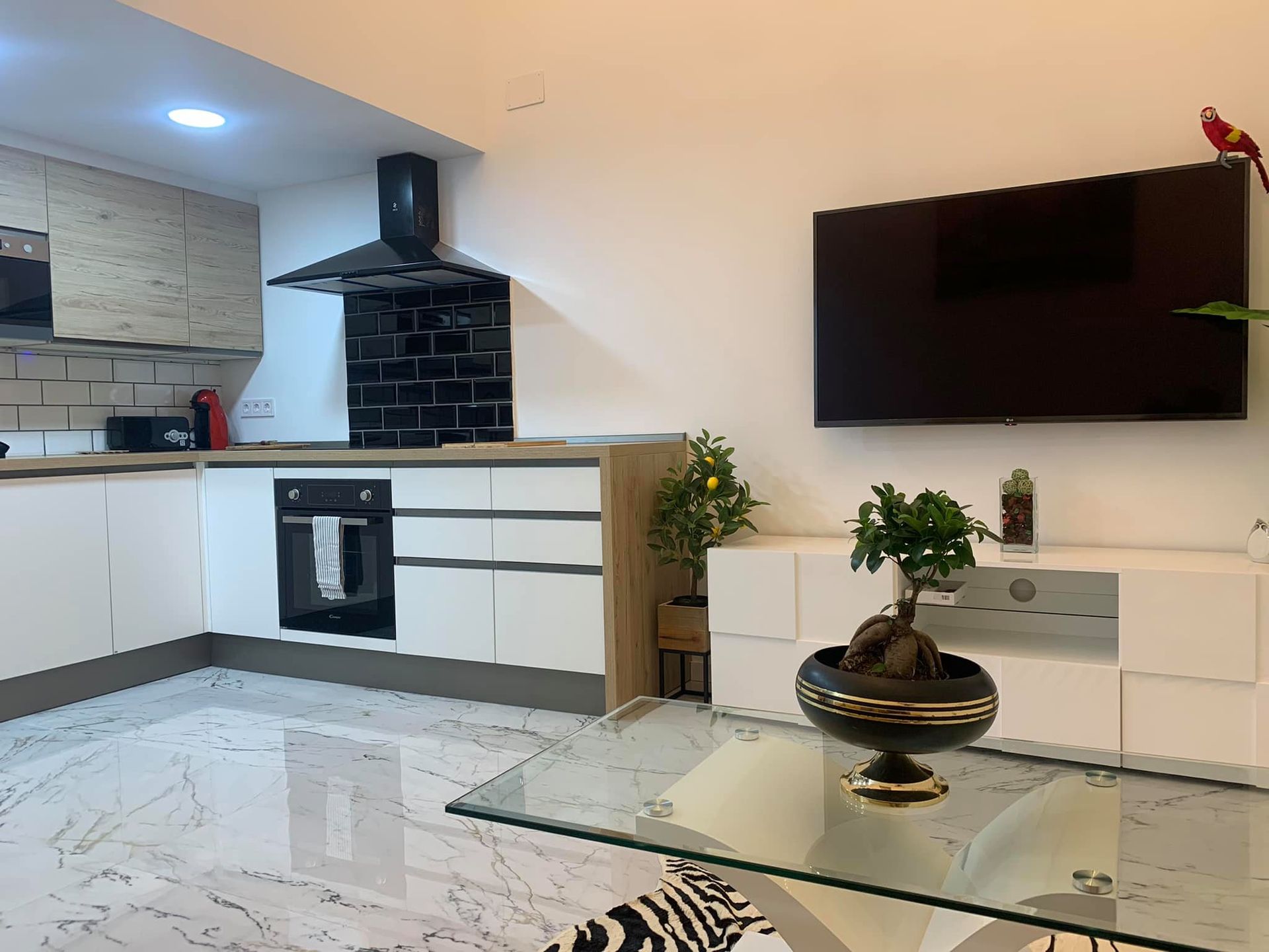 Cocina moderna y sala de estar con gabinetes blancos, detalles en negro, TV y árbol bonsái.