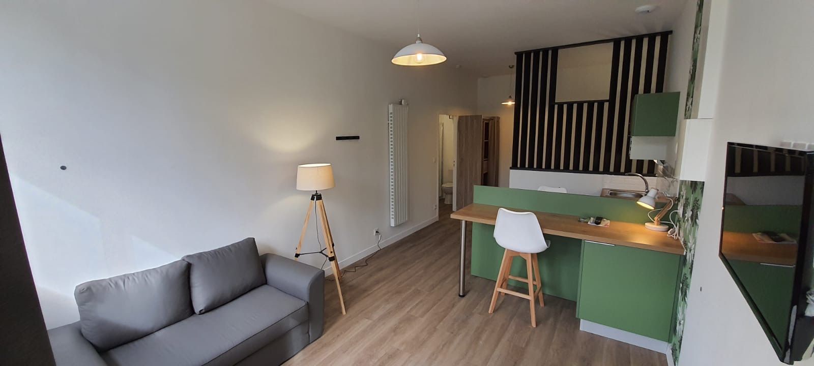 Studio avec un canapé et un coin cuisine.