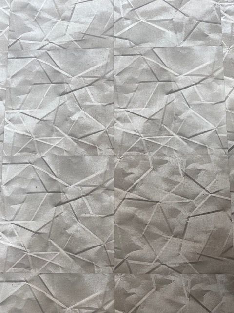 GRos plan sur un détail du sol carrelé.