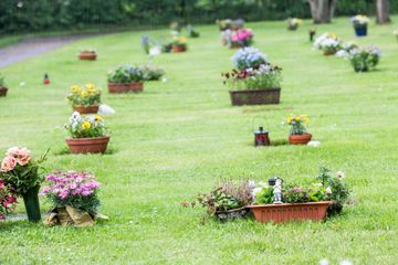 Ein Friedhof voller Topfpflanzen und Blumen.