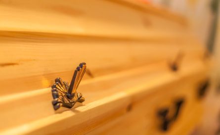 Eine Nahaufnahme eines Holzsarges mit einem Schmetterling darauf.