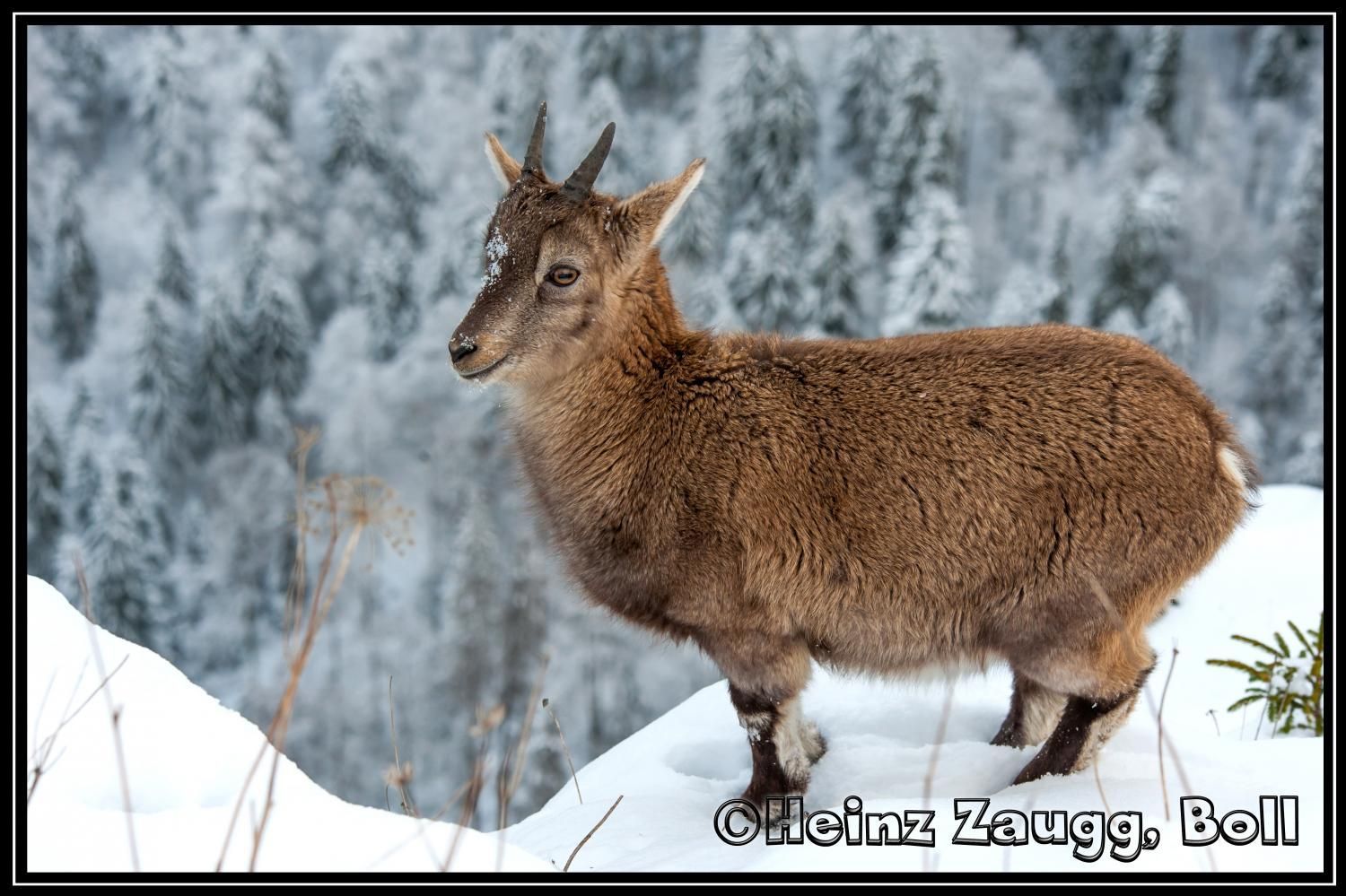 Hochzeit von
Clare & Ruedi
04. 08. 2017