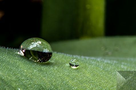 Hochzeit von
Clare & Ruedi
04. 08. 2017