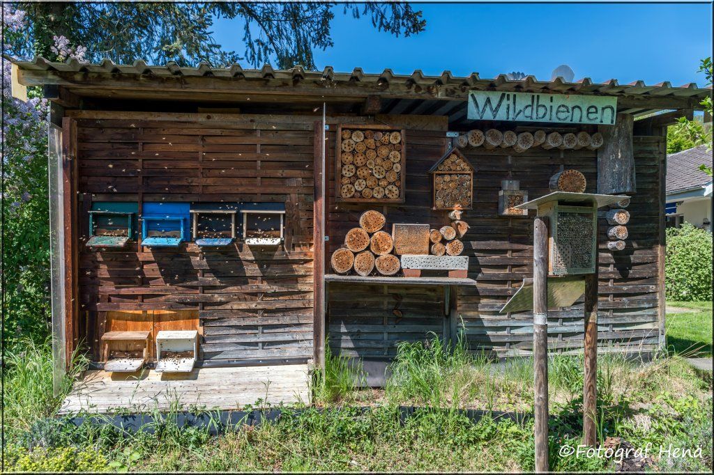 Meine leidenschaft Imkern!