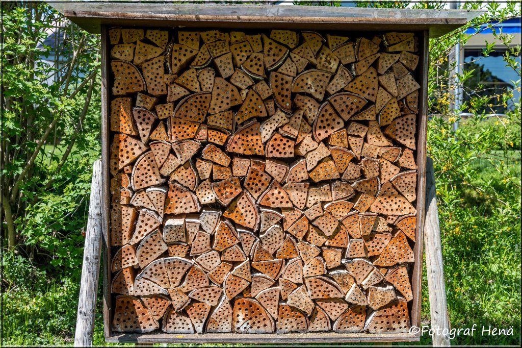 Wildbienenhaus! 