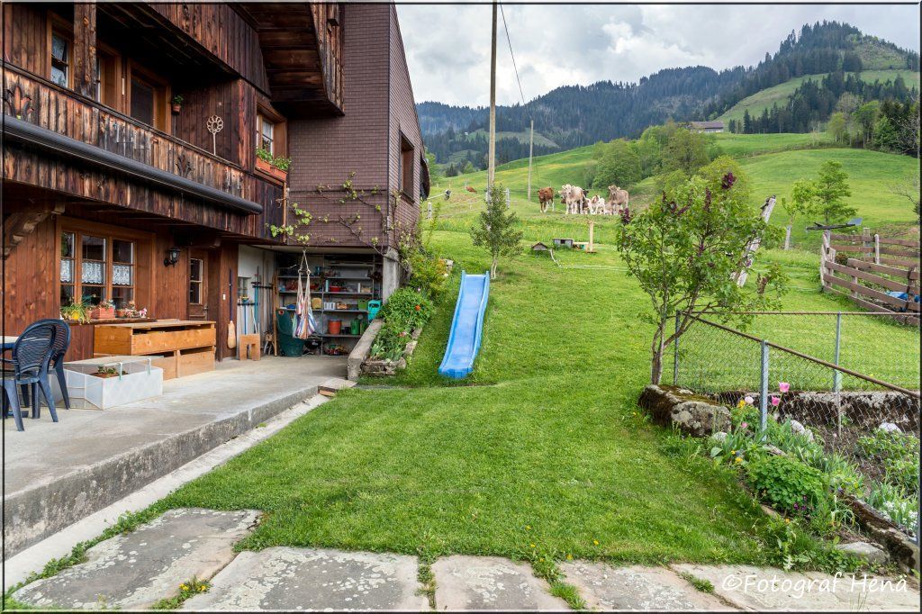 Meine leidenschaft Imkern!