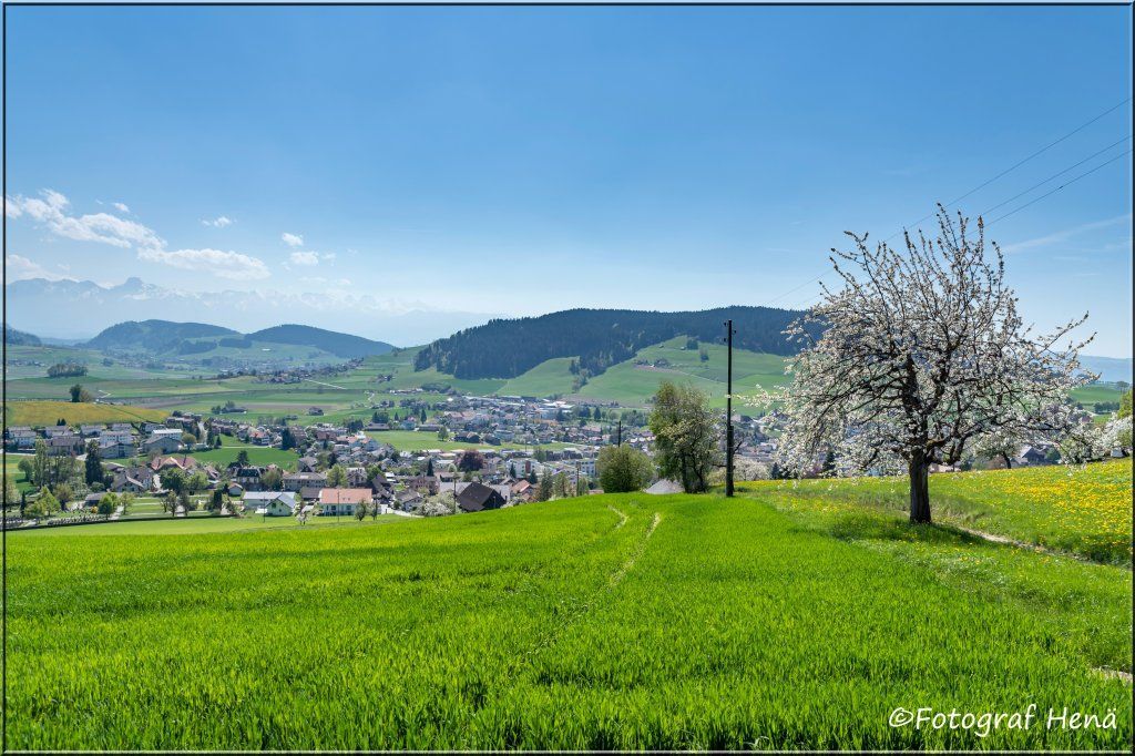 Meine leidenschaft Imkern!