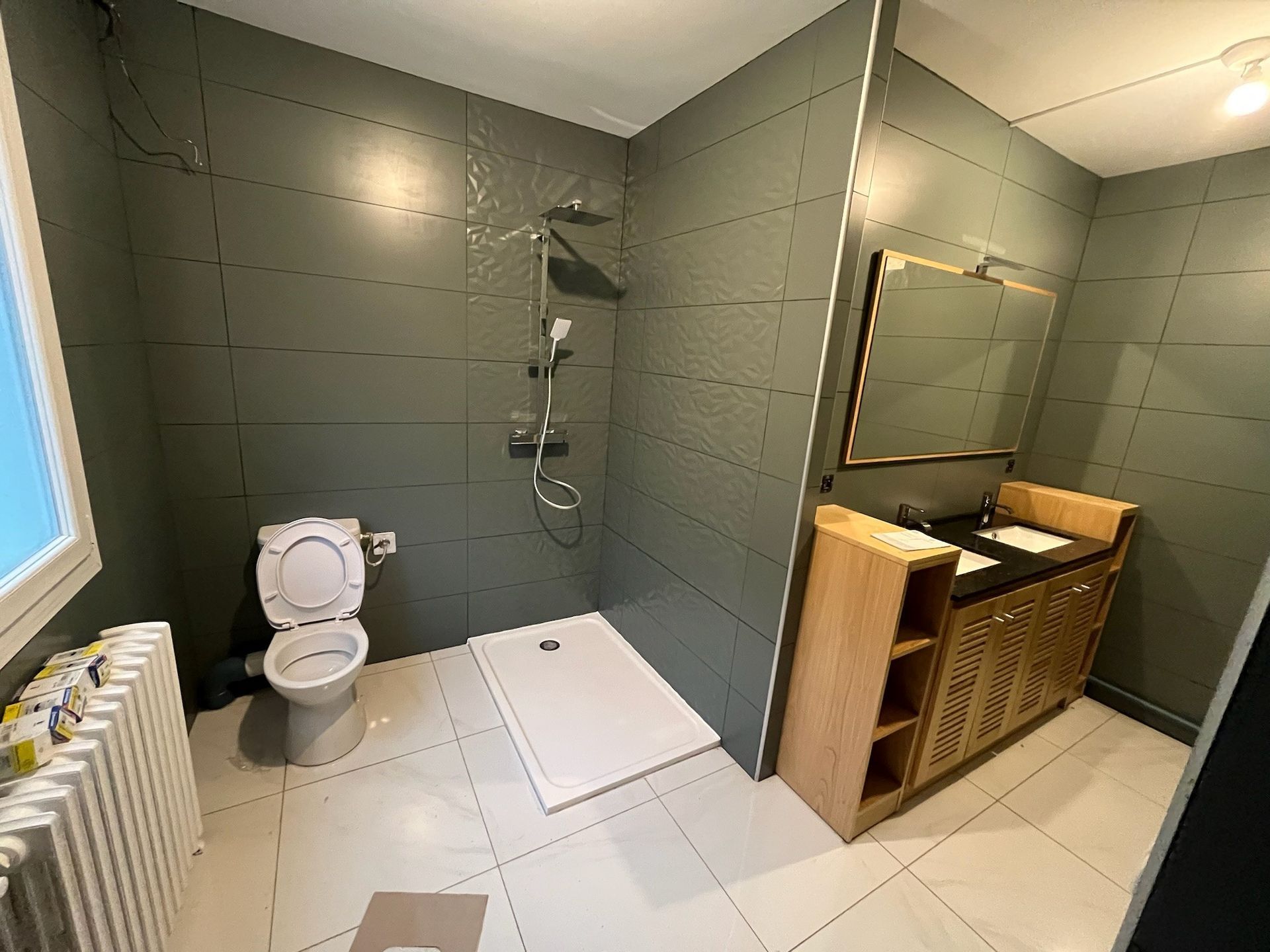 salle de douche avec toilettes
