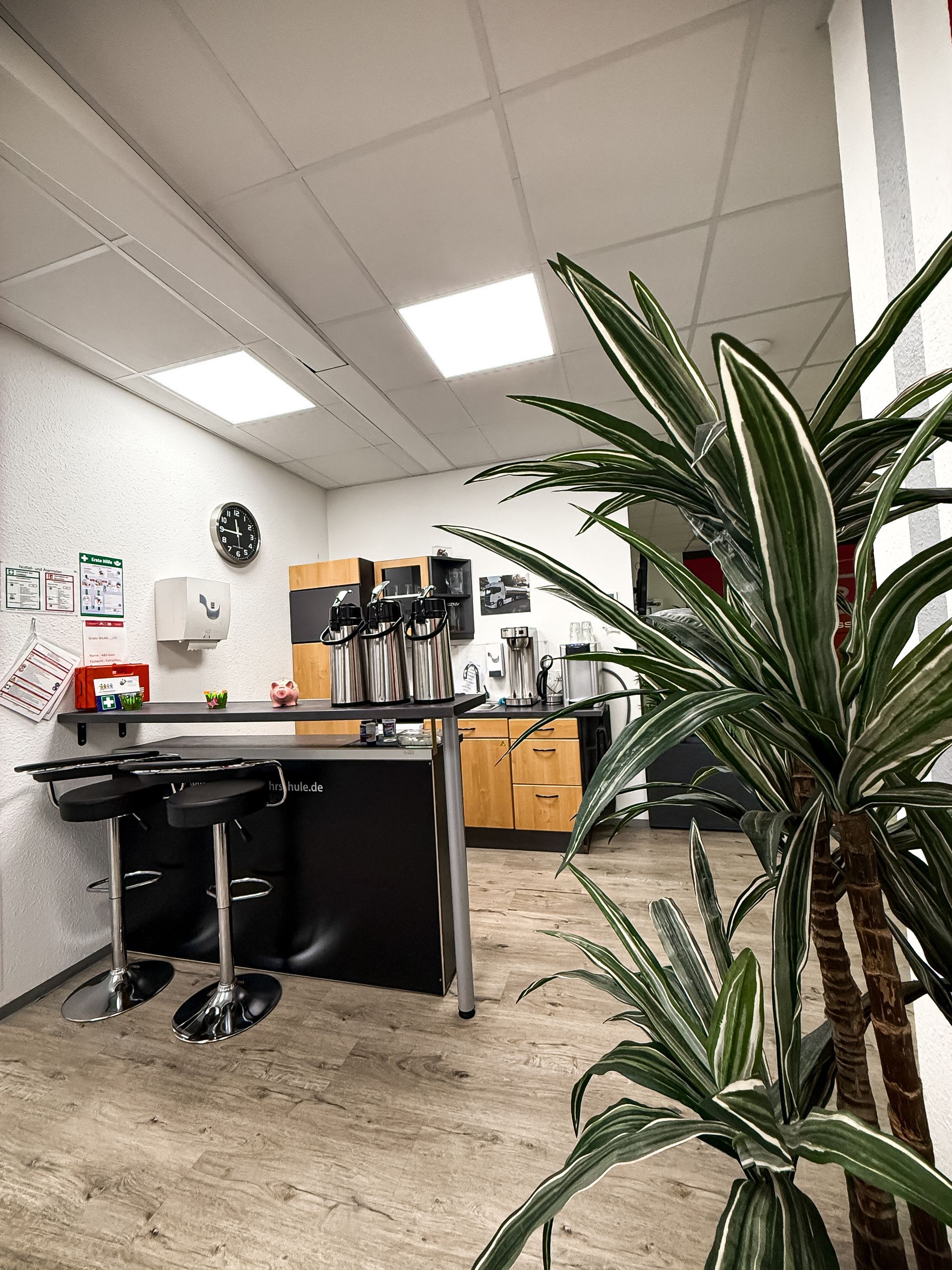 Innenaufnahme: moderner Küchenbereich mit Barhockern, Pflanzen und Geräten.