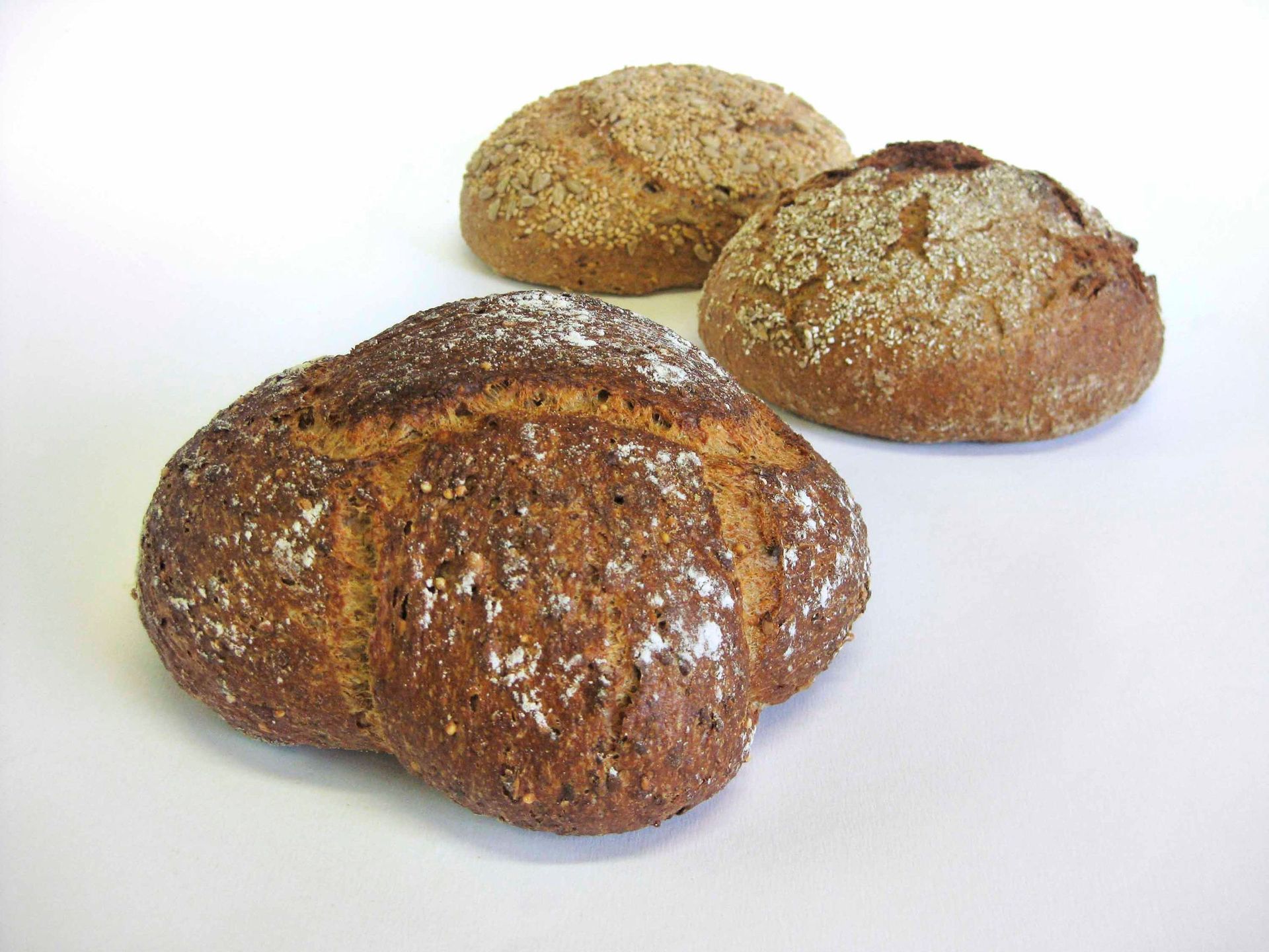 Pasternaria Romana SA - Brot