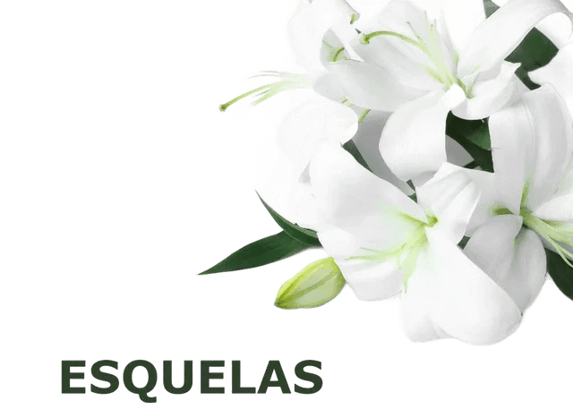 Lirios blancos con hojas verdes, texto 