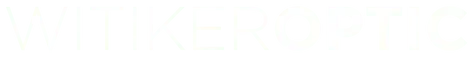 WITIKER OPTIC - logo 