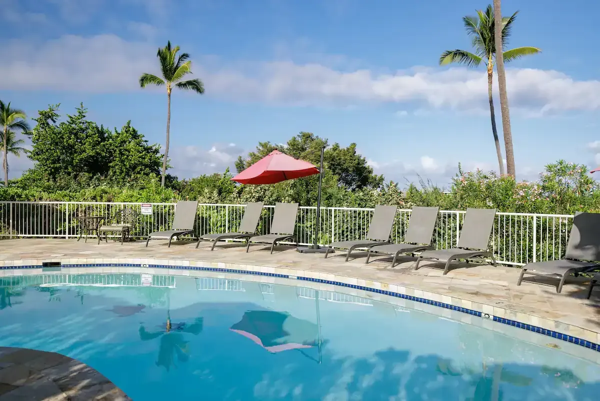 A large swimming pool surrounded by chairs and umbrellas with palm trees in the background.