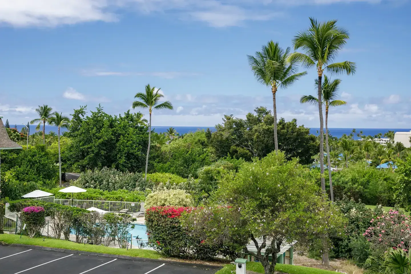 A parking lot with palm trees and a pool in the background