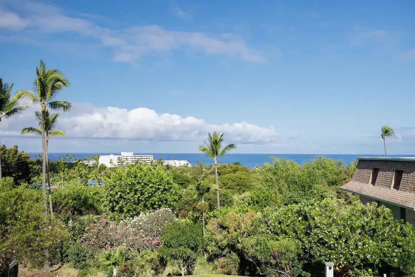 A view of the ocean from a house with palm trees in the foreground.