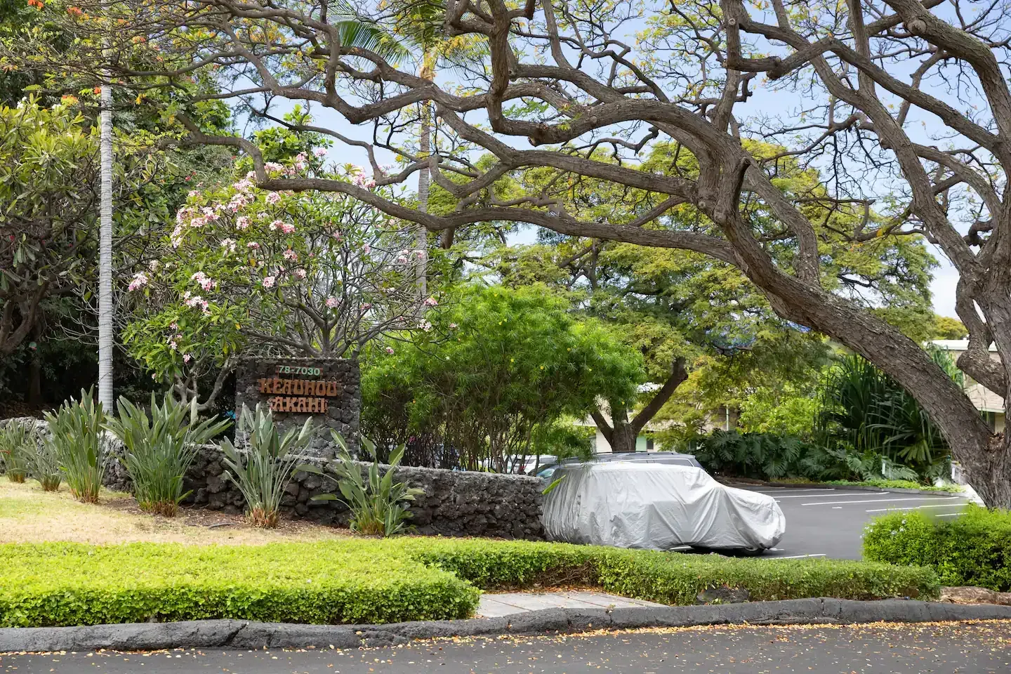 A car is parked under a tree in front of a sign.
