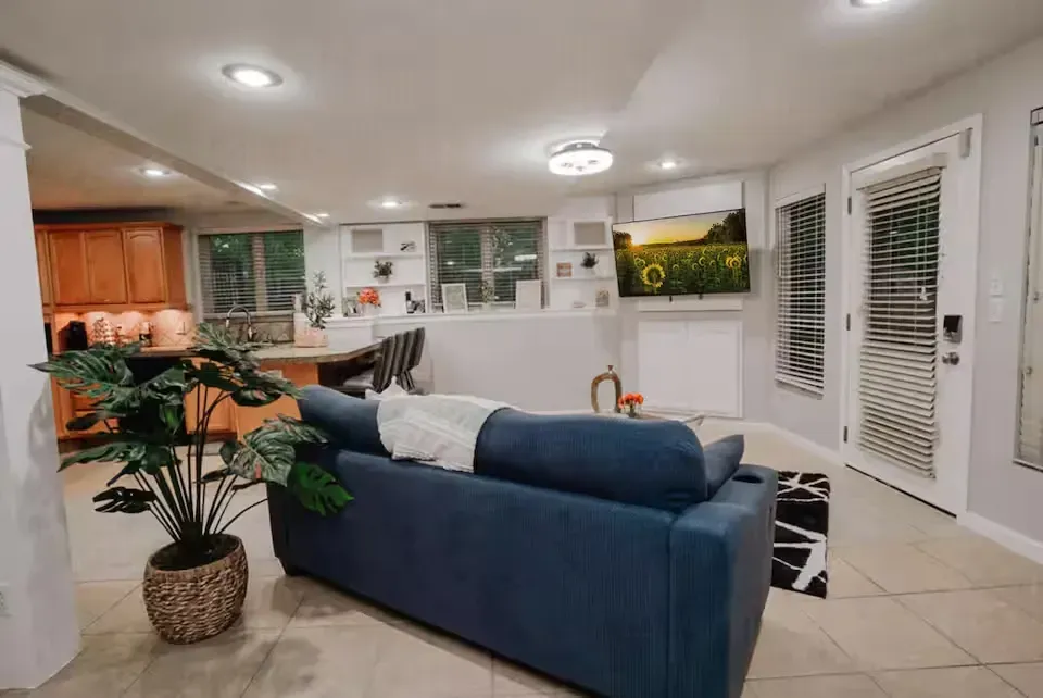 A living room with a blue couch and a potted plant.