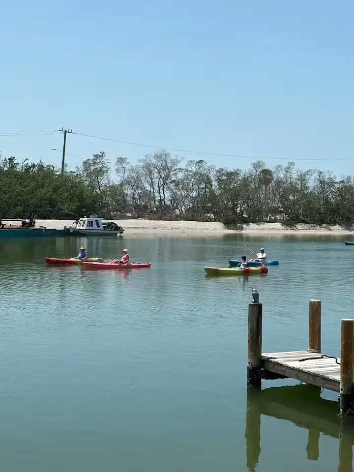 Kayakers on calm water near a small dock. A beach and trees are in the background under a clear blue sky.
