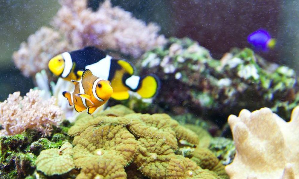 Steuerberatung für Apotheken Hameln