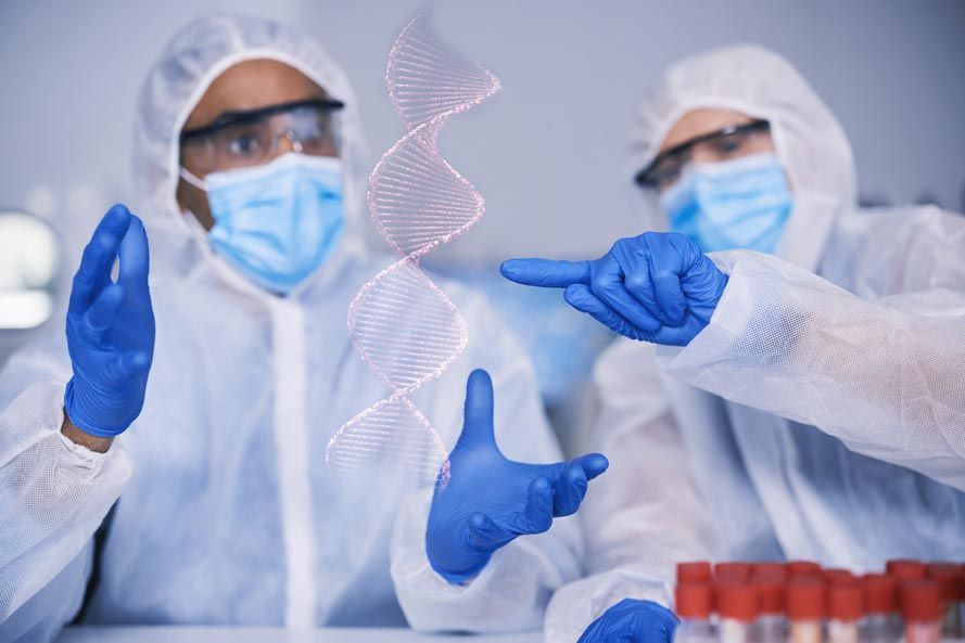Dos científicos señalan una espiral de ADN en un laboratorio.