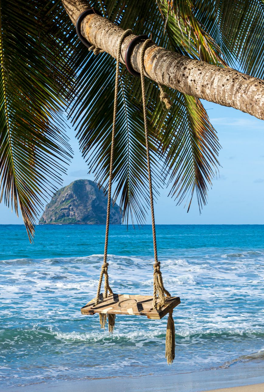 Vue aérienne d'une plage avec des vagues écumeuses, du sable et des palmiers.