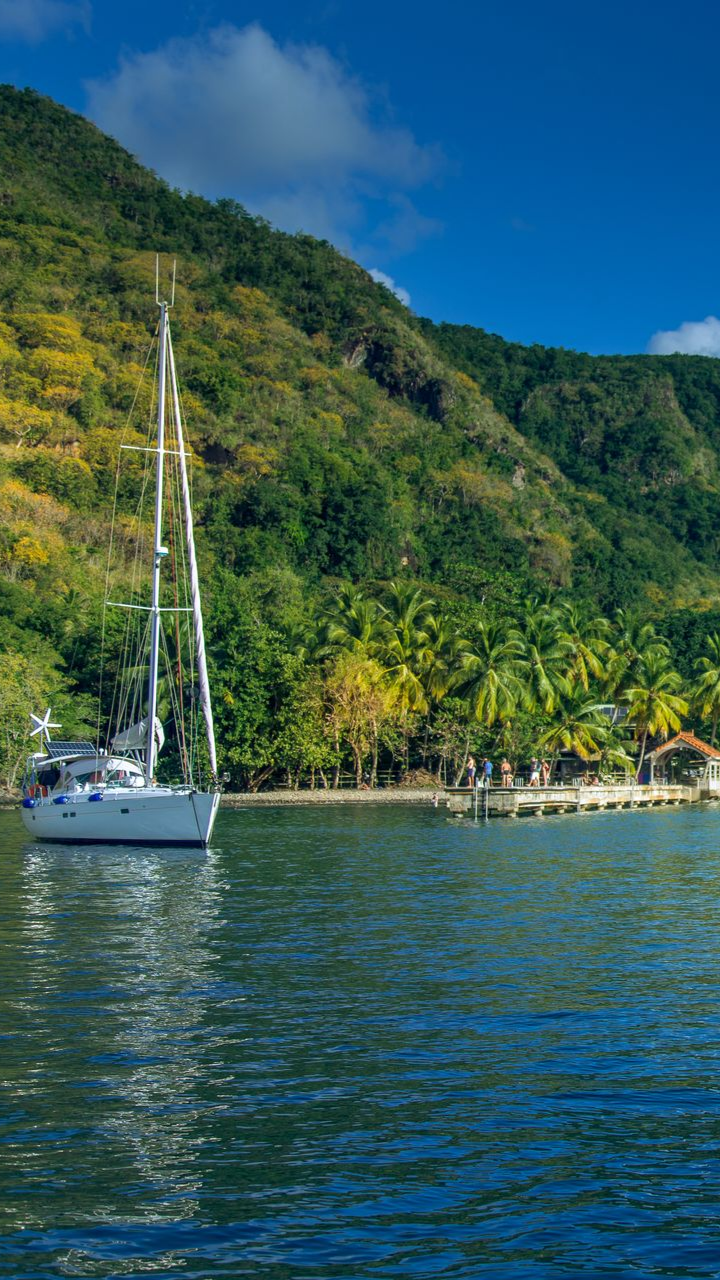 Voilier sur l'eau près d'une colline verdoyante.