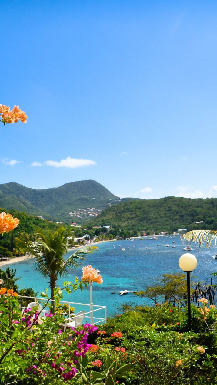 Paysage tropical de baie avec eau bleue, collines verdoyantes, bateaux et fleurs colorées.