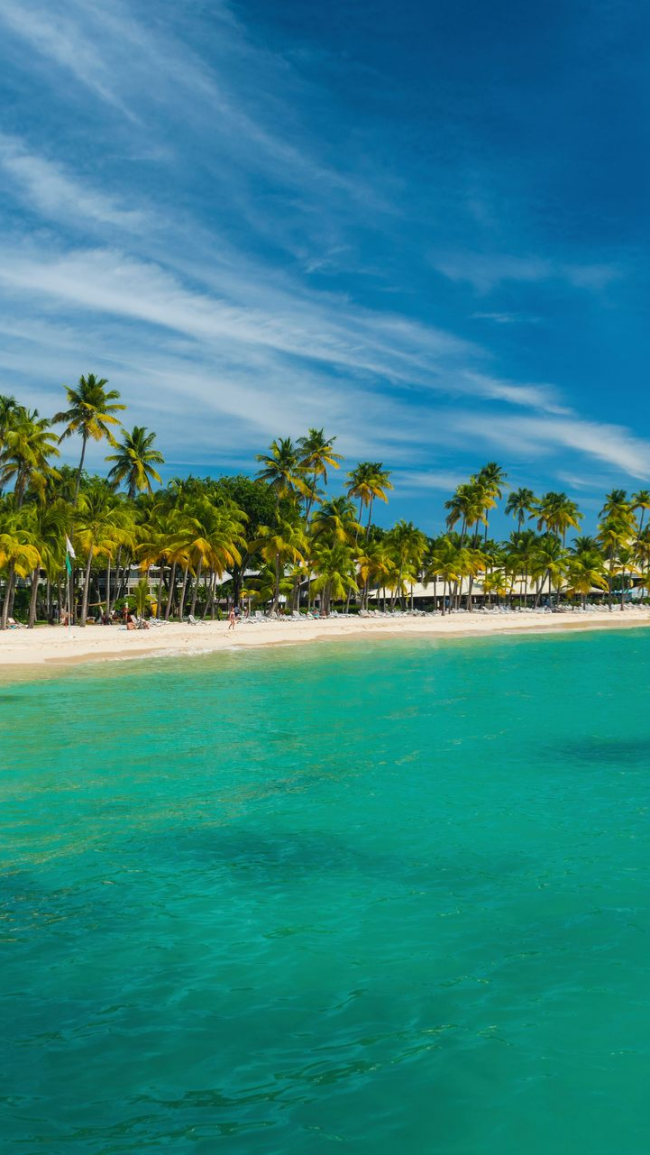 Plage tropicale avec eau turquoise, sable blanc, palmiers et ciel bleu.