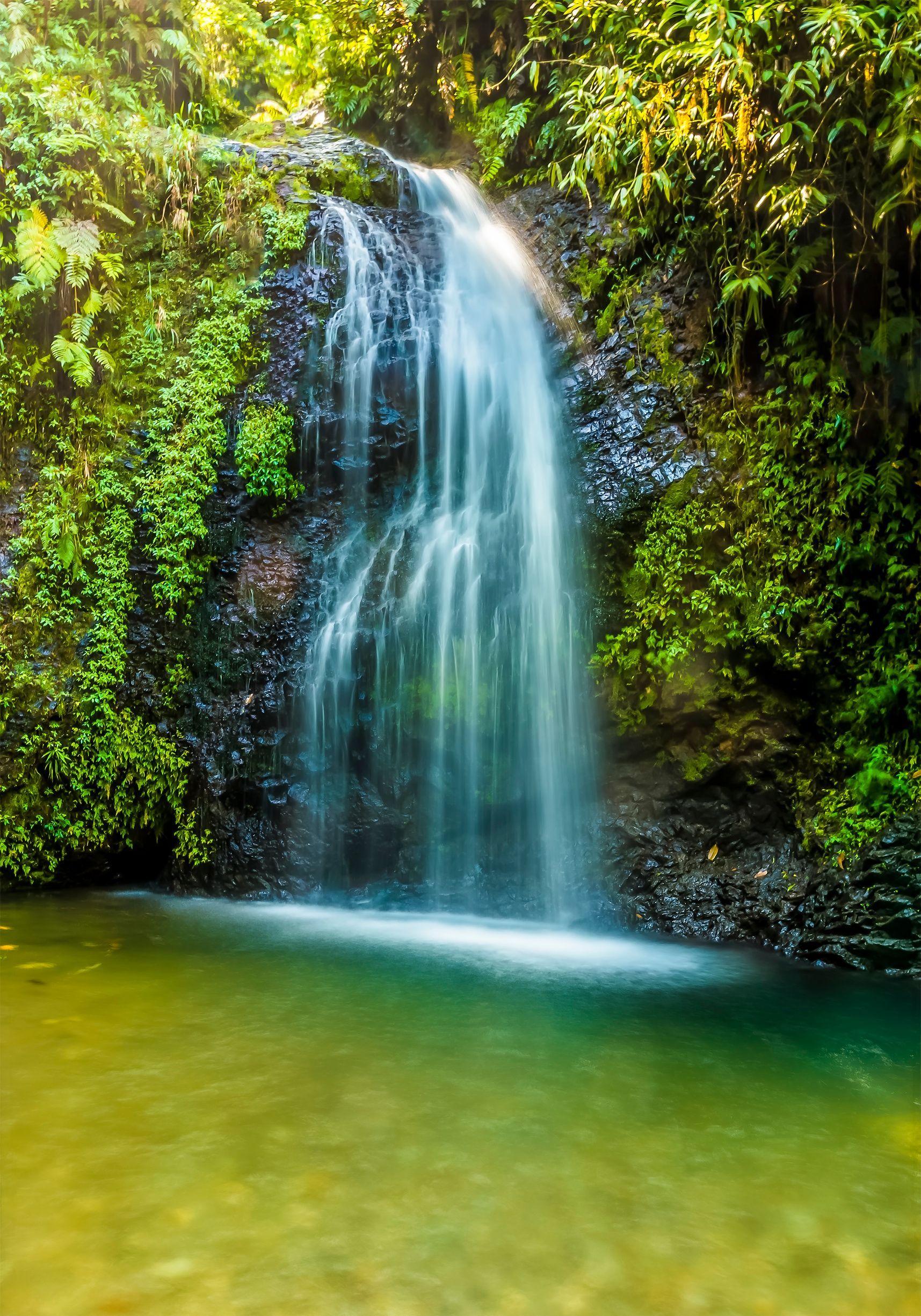 Une cascade se jette dans un bassin, entourée d'une végétation luxuriante.