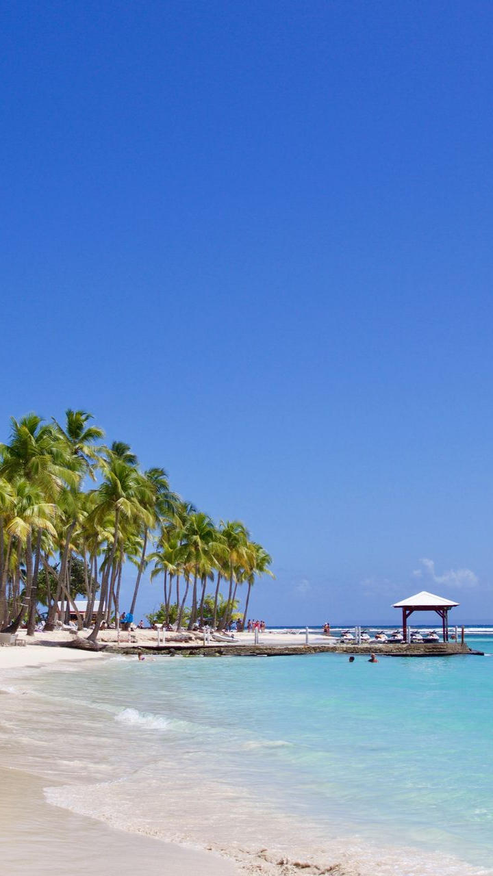 Plage aux eaux turquoise, sable blanc et palmiers.
