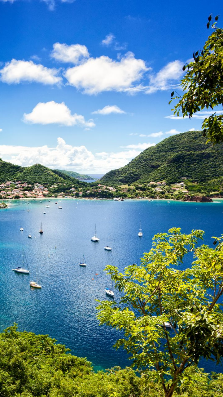 Baie encadrée de collines verdoyantes et d'arbres.