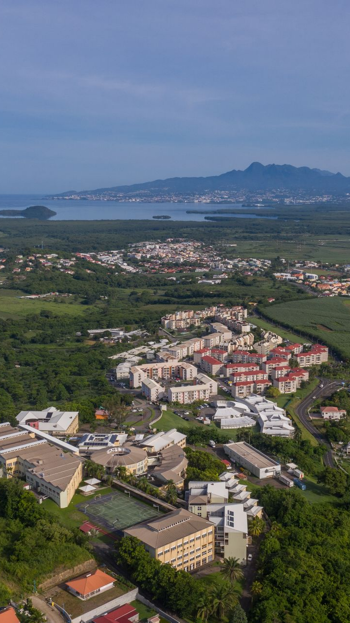 Vue aérienne d'une ville aux bâtiments aux toits rouges et au paysage verdoyant.