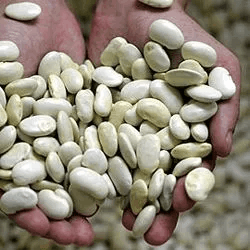 Hände halten Kieselsteine