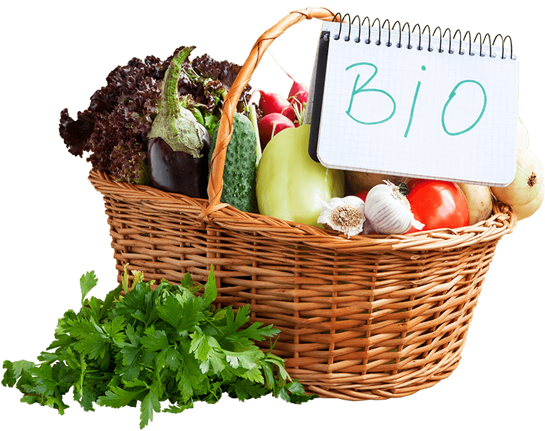Panier de produits bio : salade, aubergine, concombre, radis…