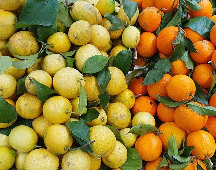 Présentation de citrons et d'oranges
