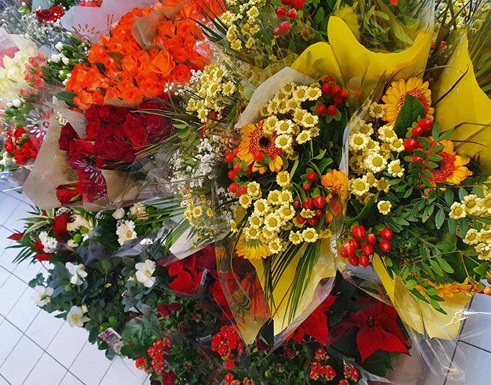Différentes fleurs de couleur jaune, rouge et orange