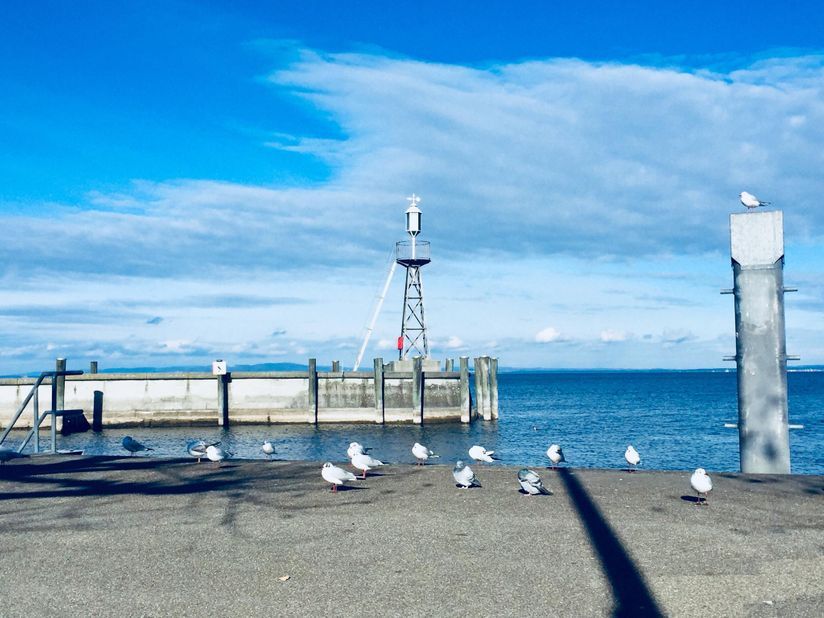 Natur - Praxis hin zur natur