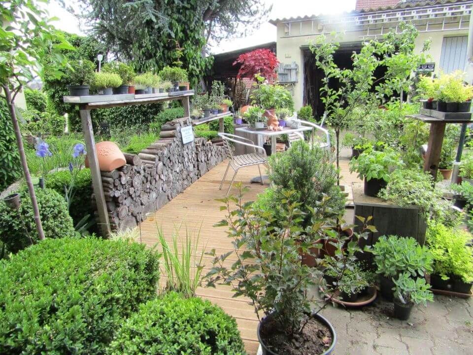 Lauger Garten- und Landschaftsbau Pflanzen zum Verkauf