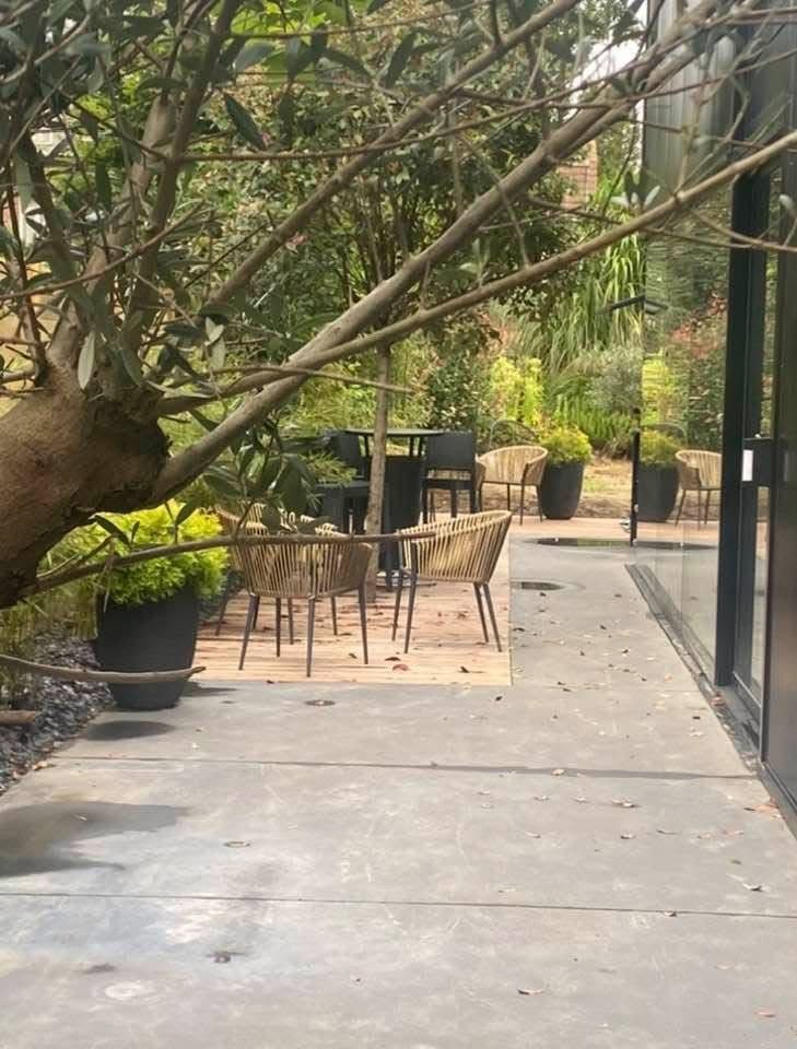 Pots de fleur contenant des plantes exotiques, de nuit