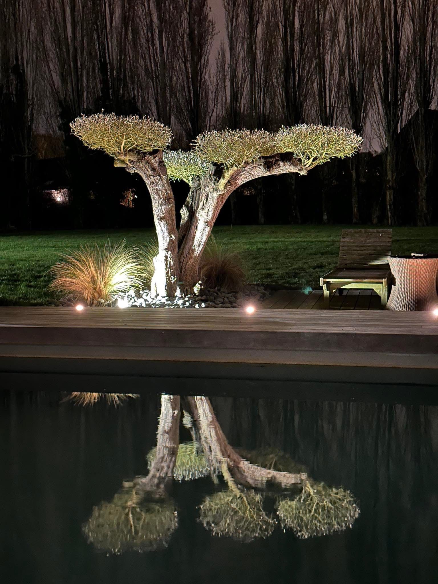 Aménagement d'un salon d'extérieur et d'un jardin