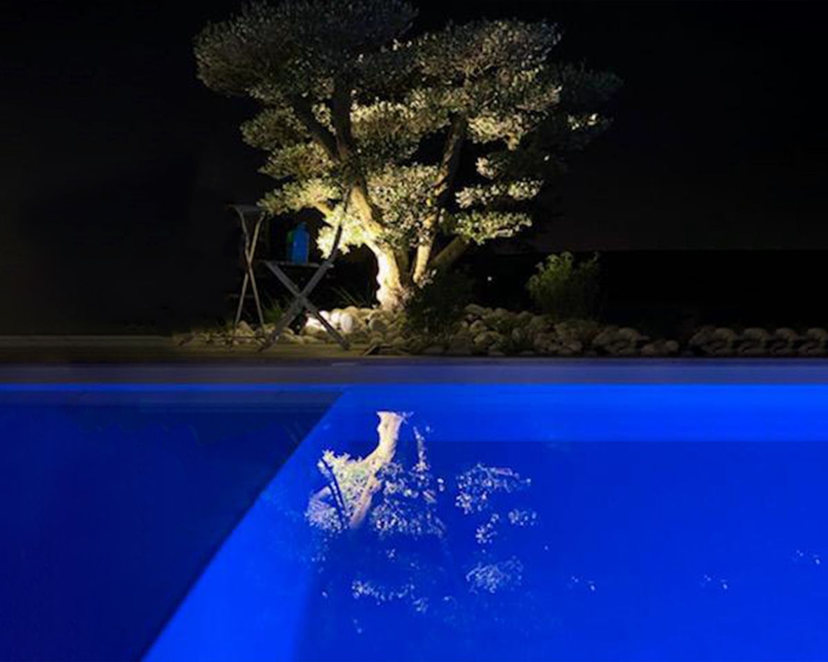 Reflet d'un arbre dans une piscine de nuit dans un jardin 